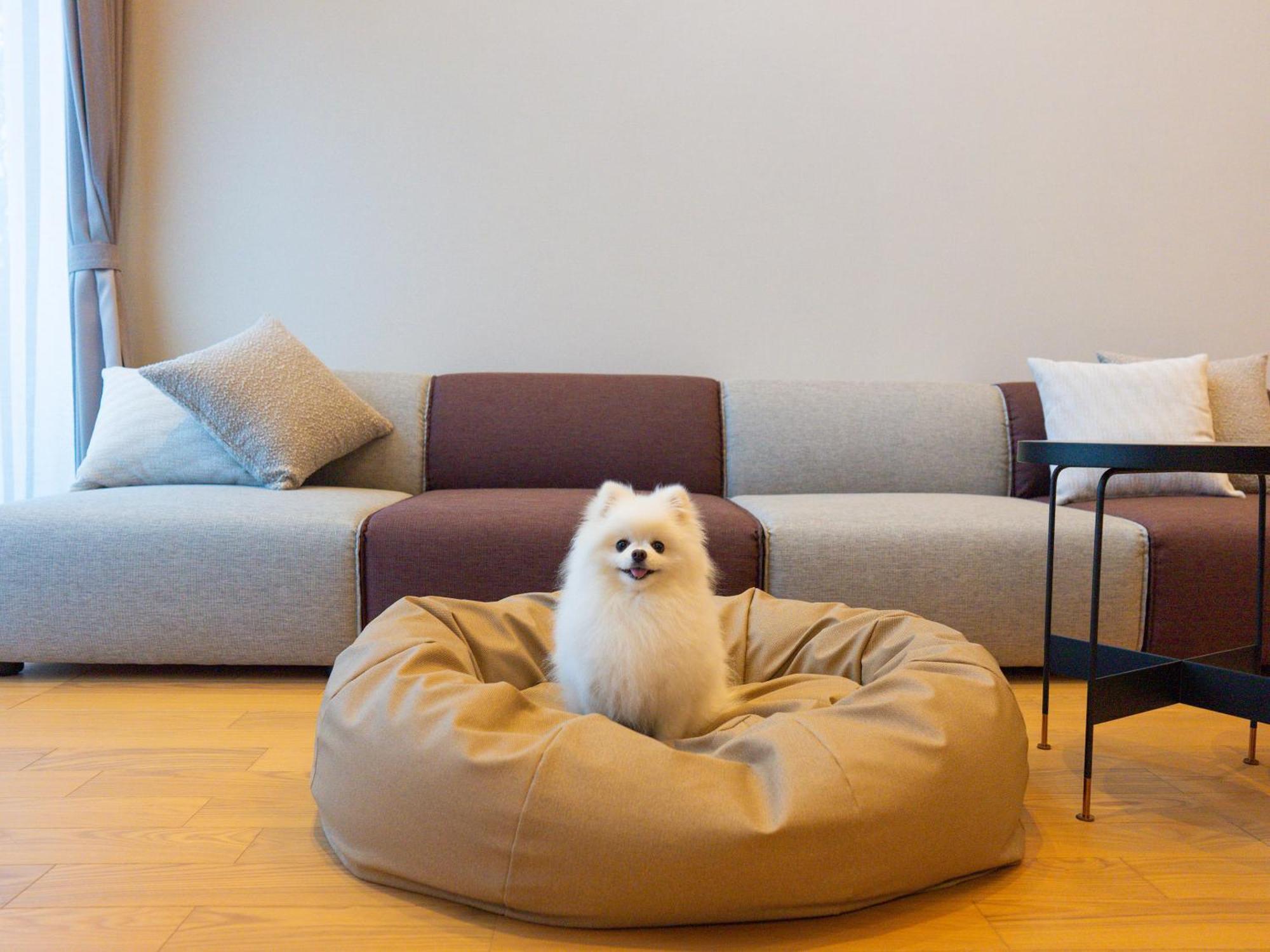 Rakuten Stay Villa Yatsugatake Хокуто Екстериор снимка