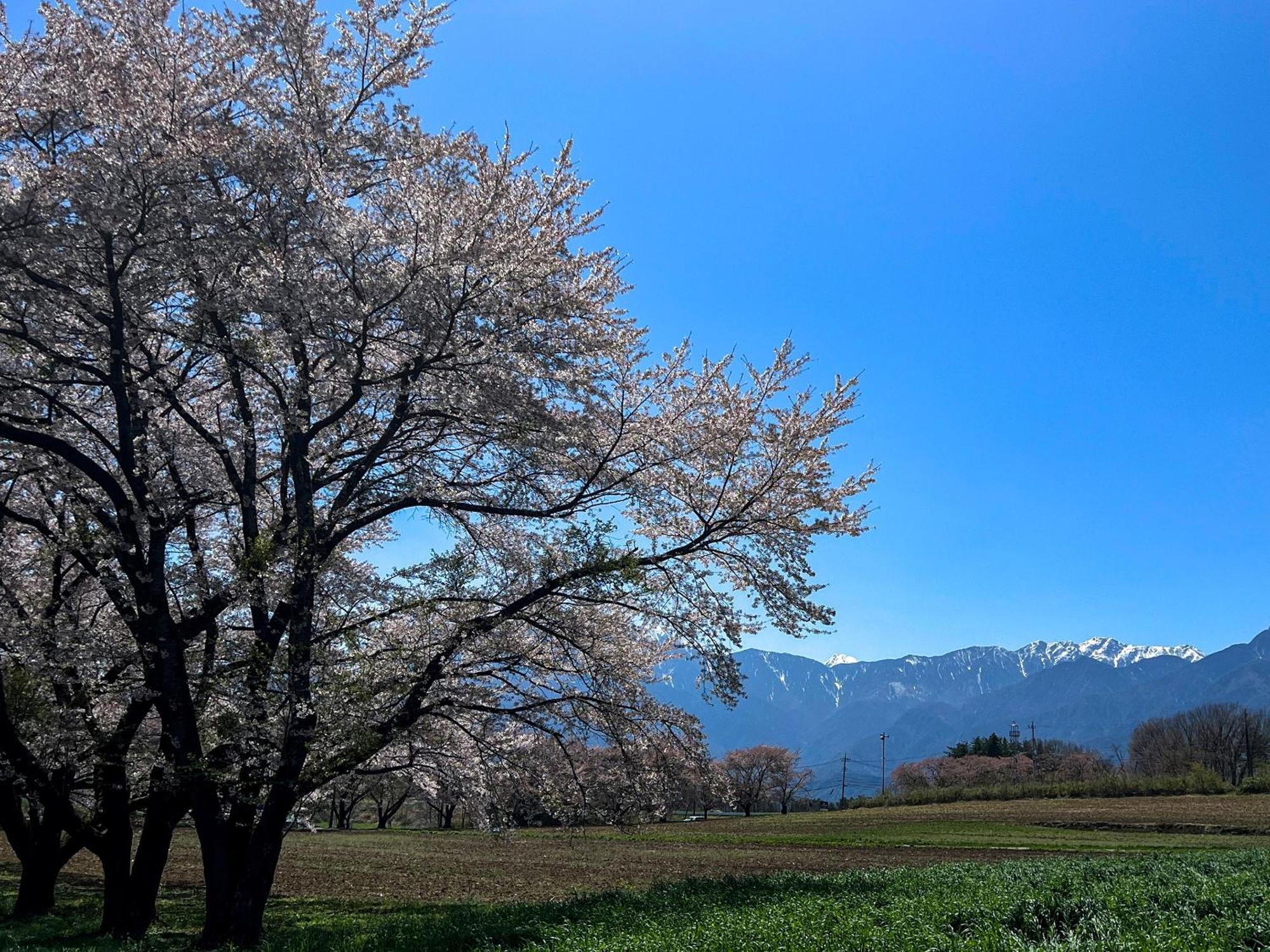 Rakuten Stay Villa Yatsugatake Хокуто Екстериор снимка