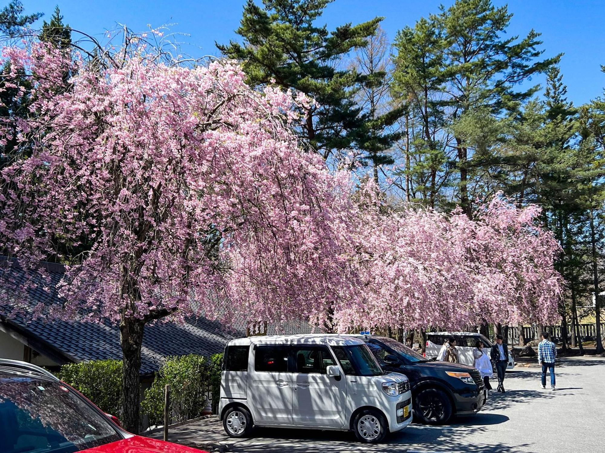 Rakuten Stay Villa Yatsugatake Хокуто Екстериор снимка