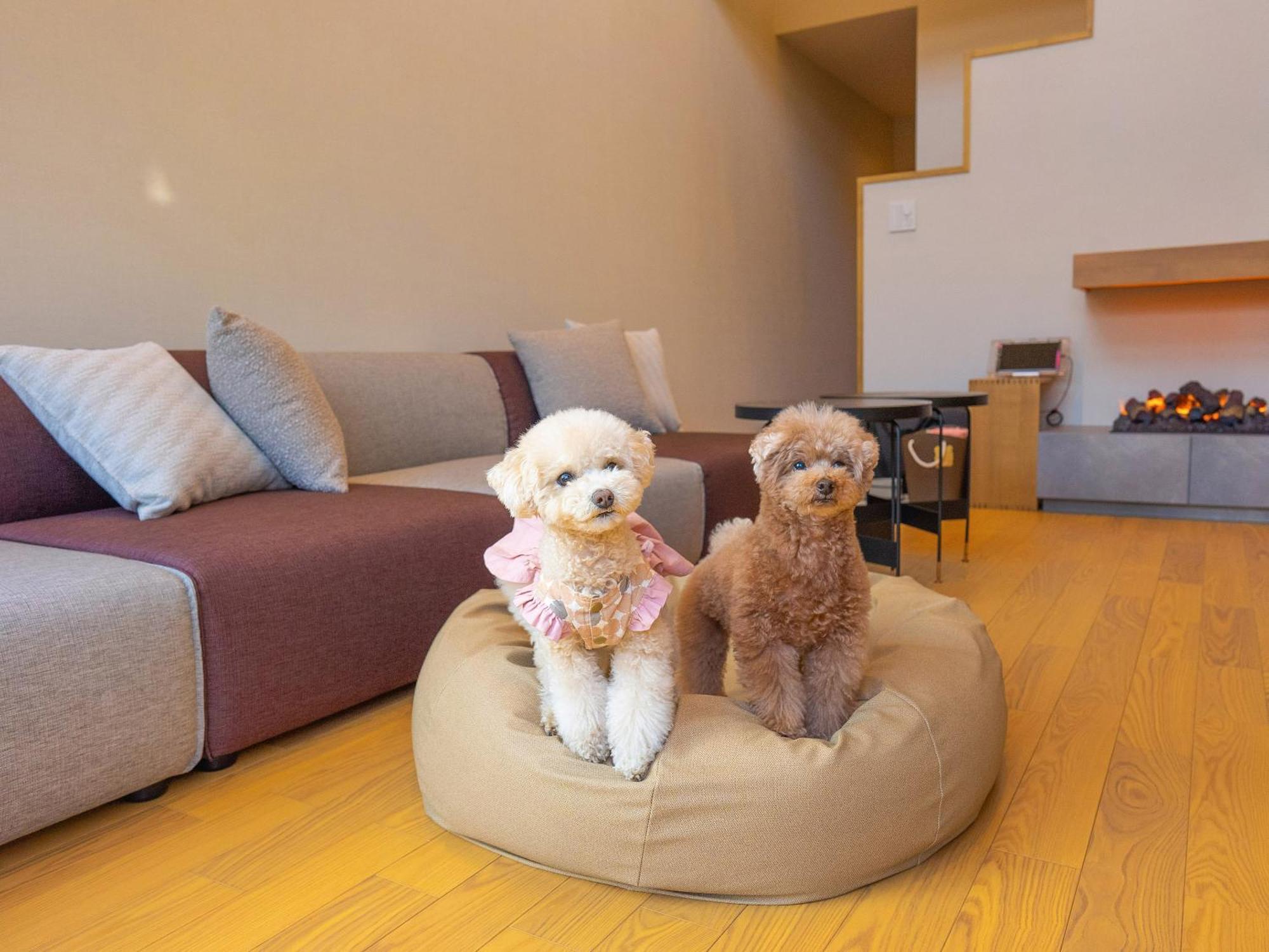 Rakuten Stay Villa Yatsugatake Хокуто Екстериор снимка